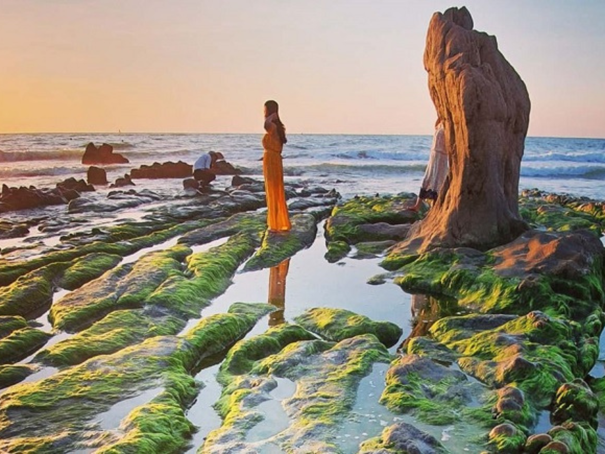 TOUR NINH CHỮ - VĨNH HY