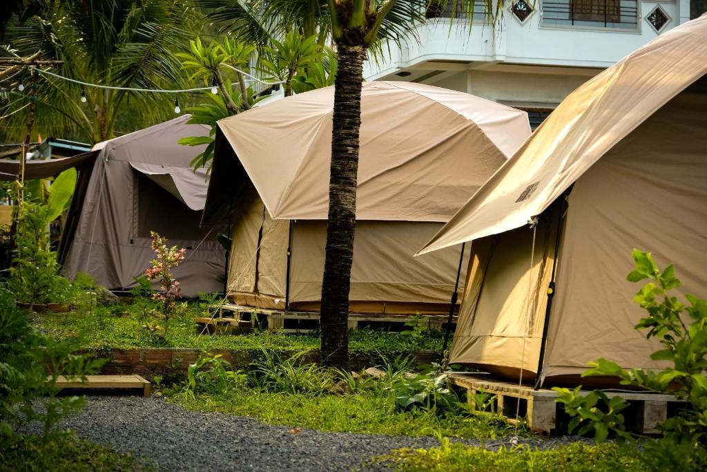 Sơ Tình Camp, Thôn Cát Lợi (giá cập nhật 2025)