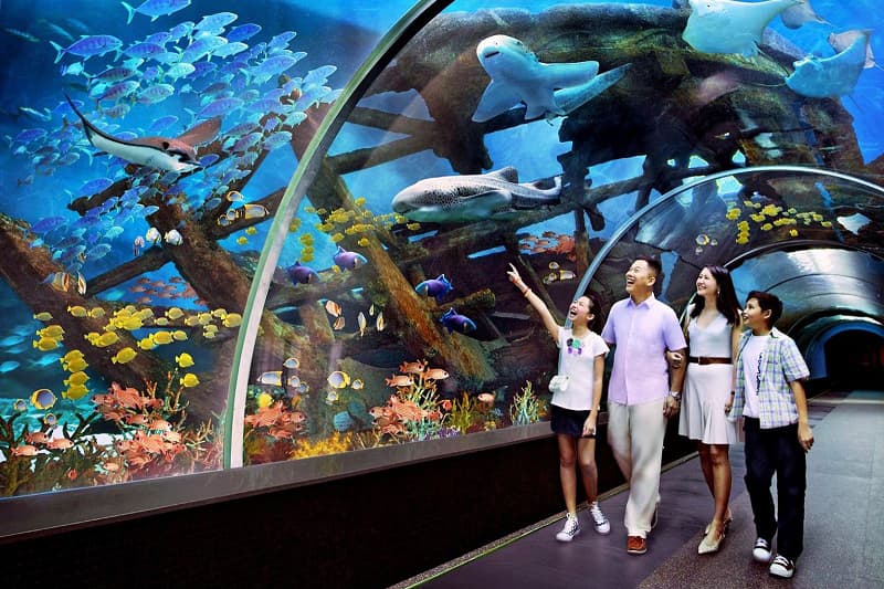Thủy Cung Trí Nguyên Nha Trang