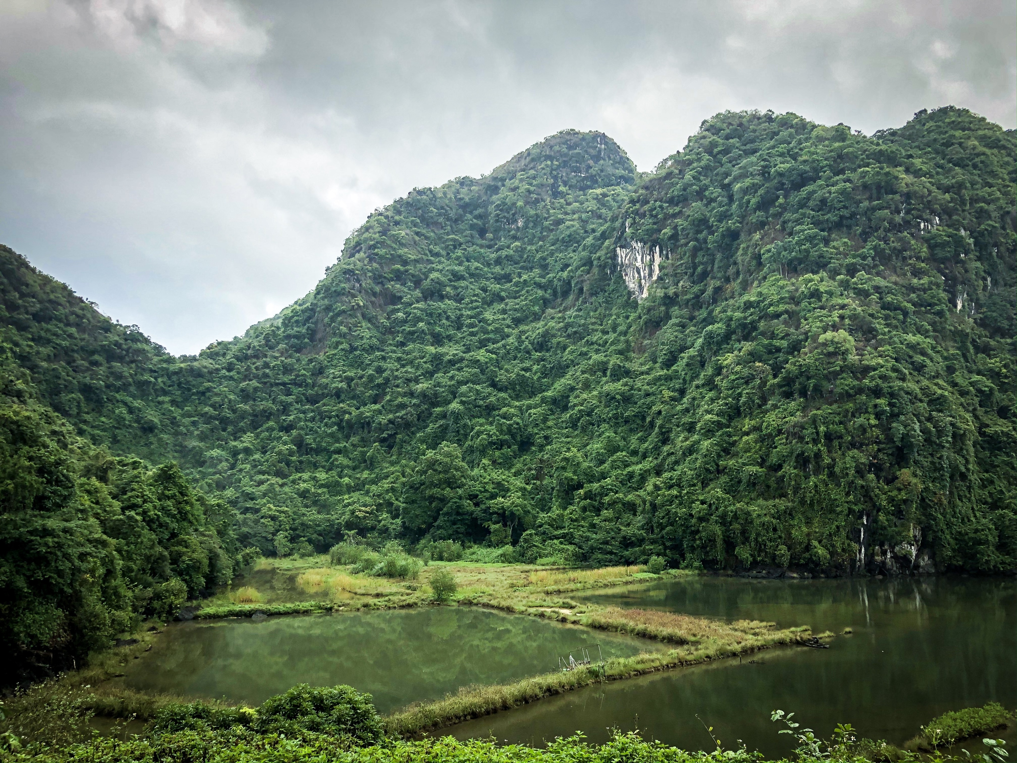 Cat Ba National Park Tours - Book Now | Expedia