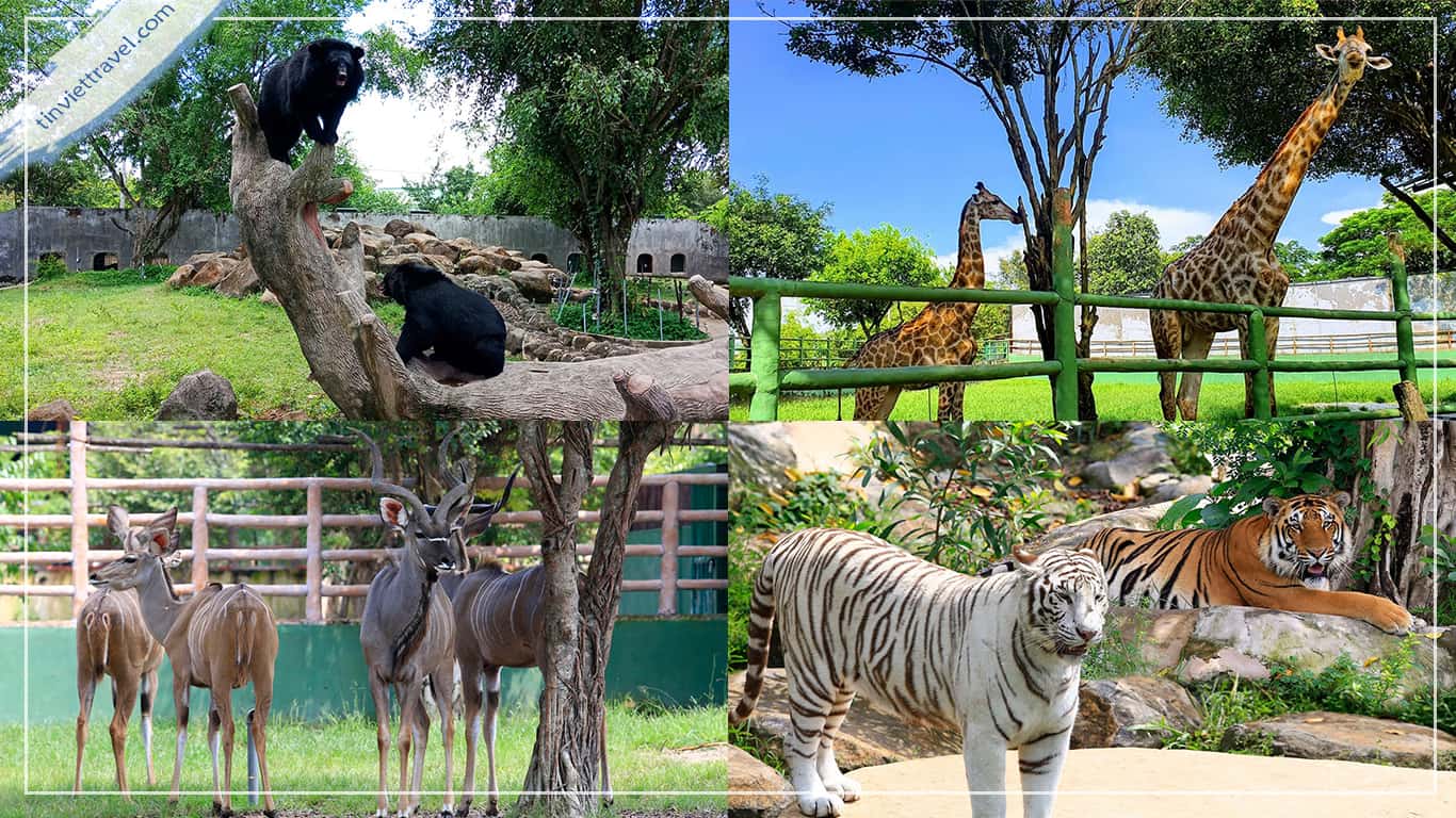 Tour du lịch Vườn Xoài Đồng Nai 1 ngày