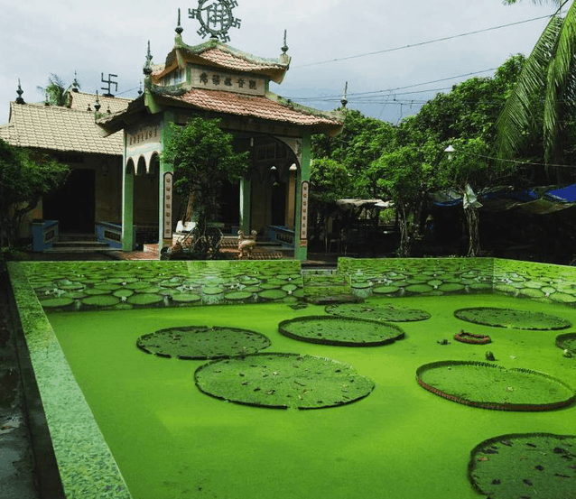 Chùa Phước Kiển (chùa Lá Sen)