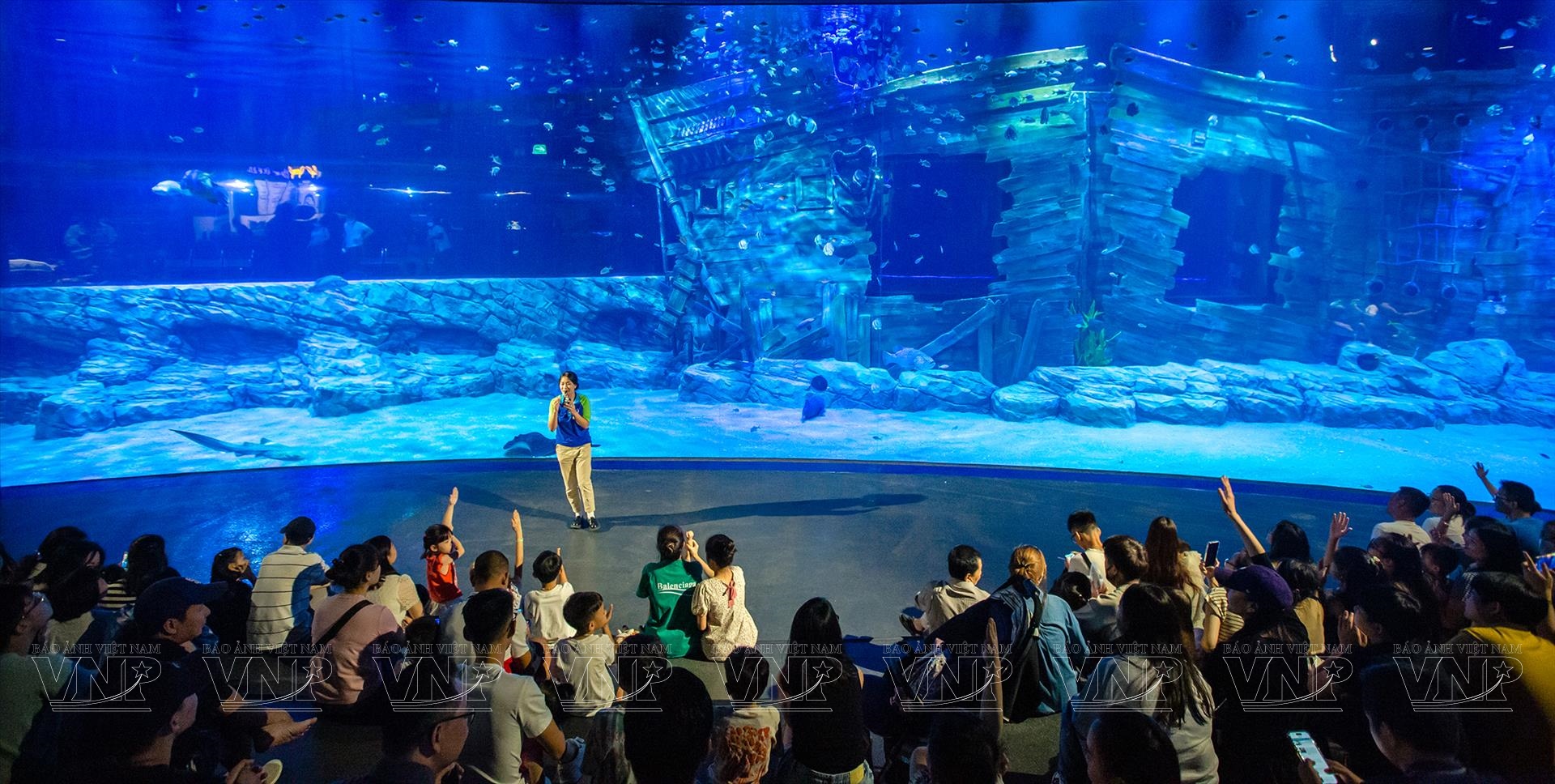 Thế giới đại dương chân thực tại Thủy cung Lotte World Hà Nội