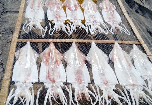 Mực một nắng Nha Trang