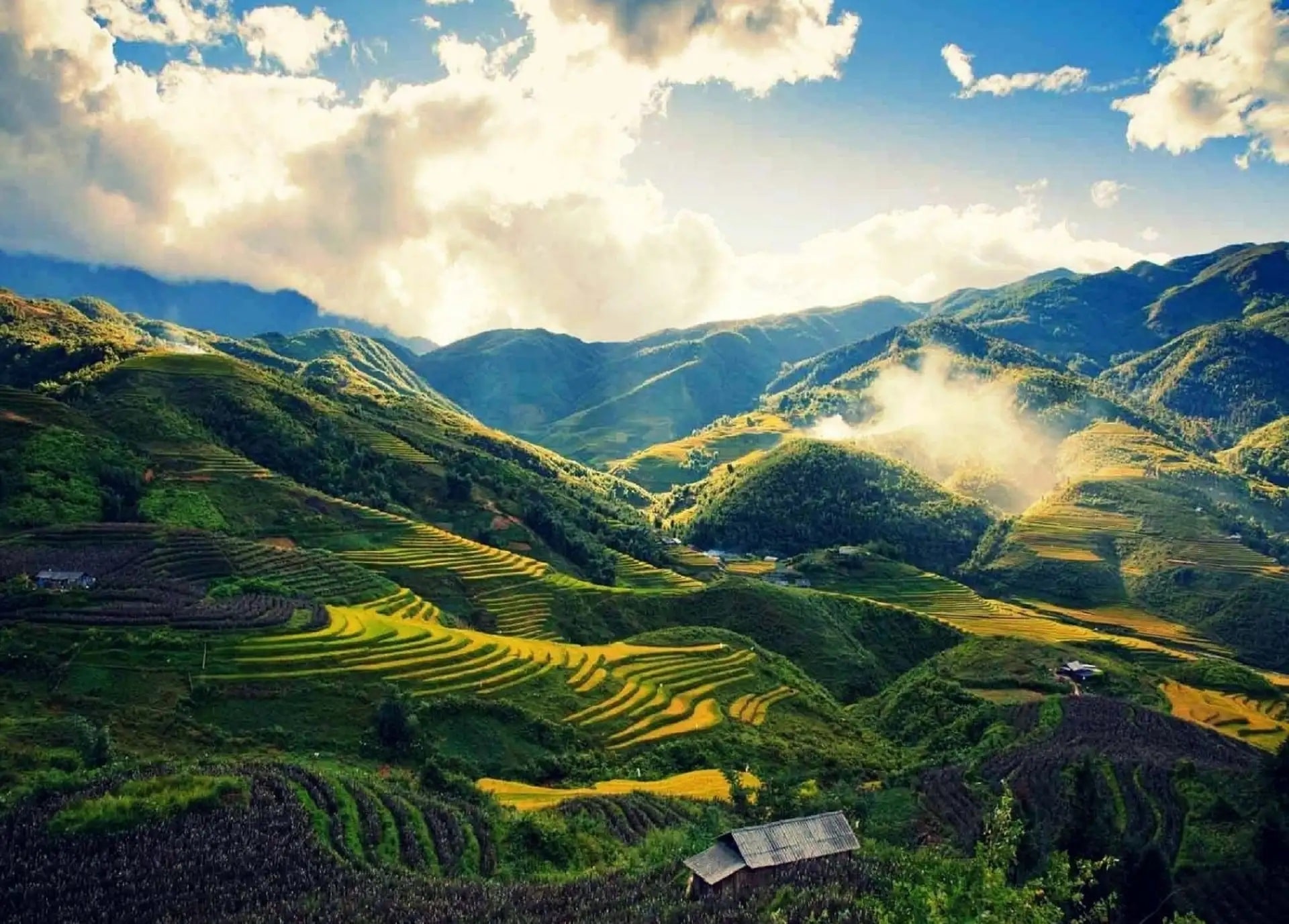 Thung Lũng Mường Hoa