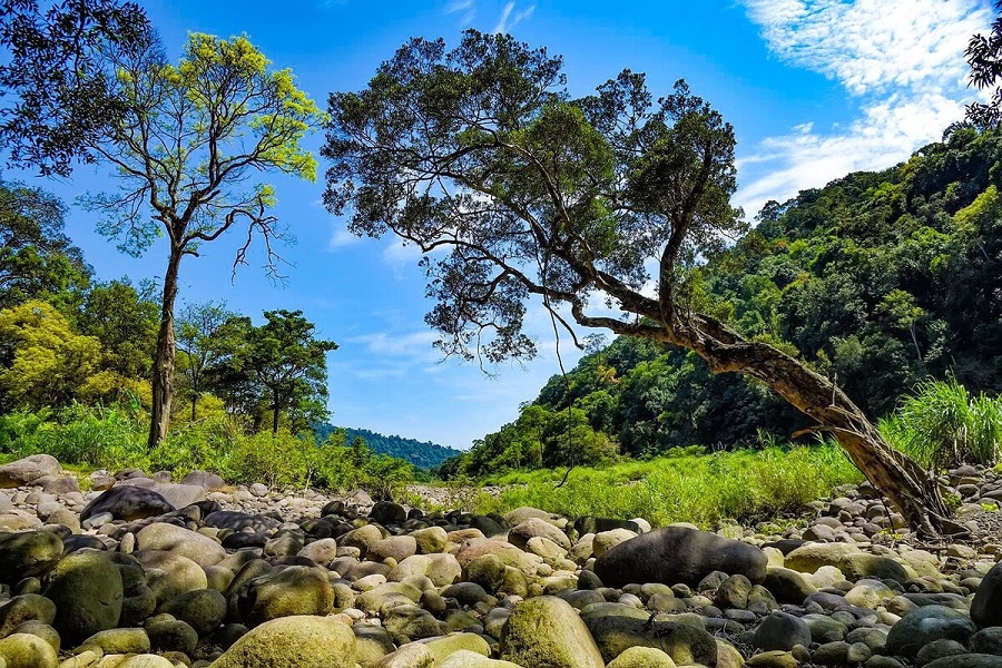 Vườn Quốc gia Vũ Quang: Khám phá “kho báu” của Hà Tĩnh