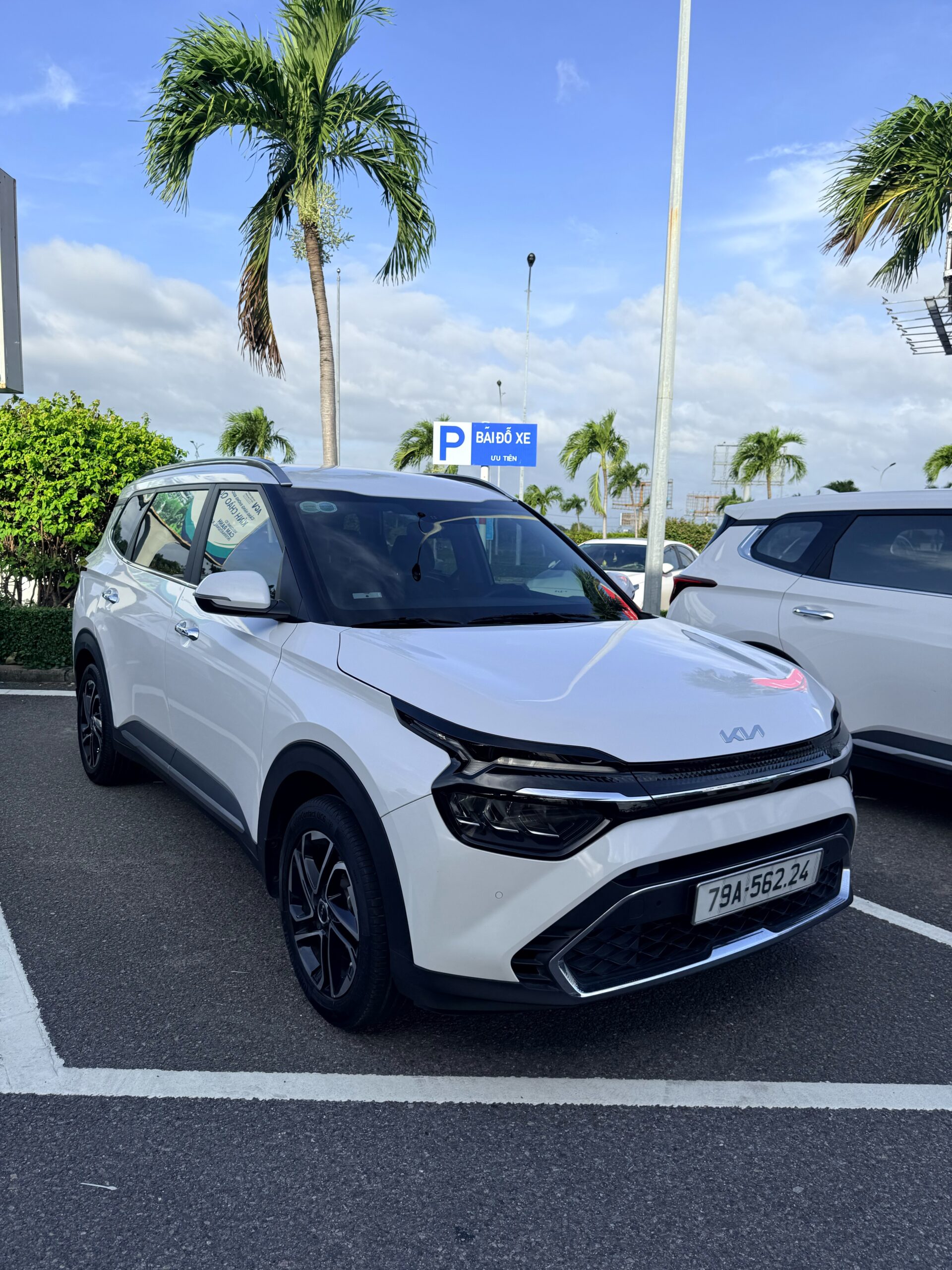 thuê xe tự lái Tết 2026