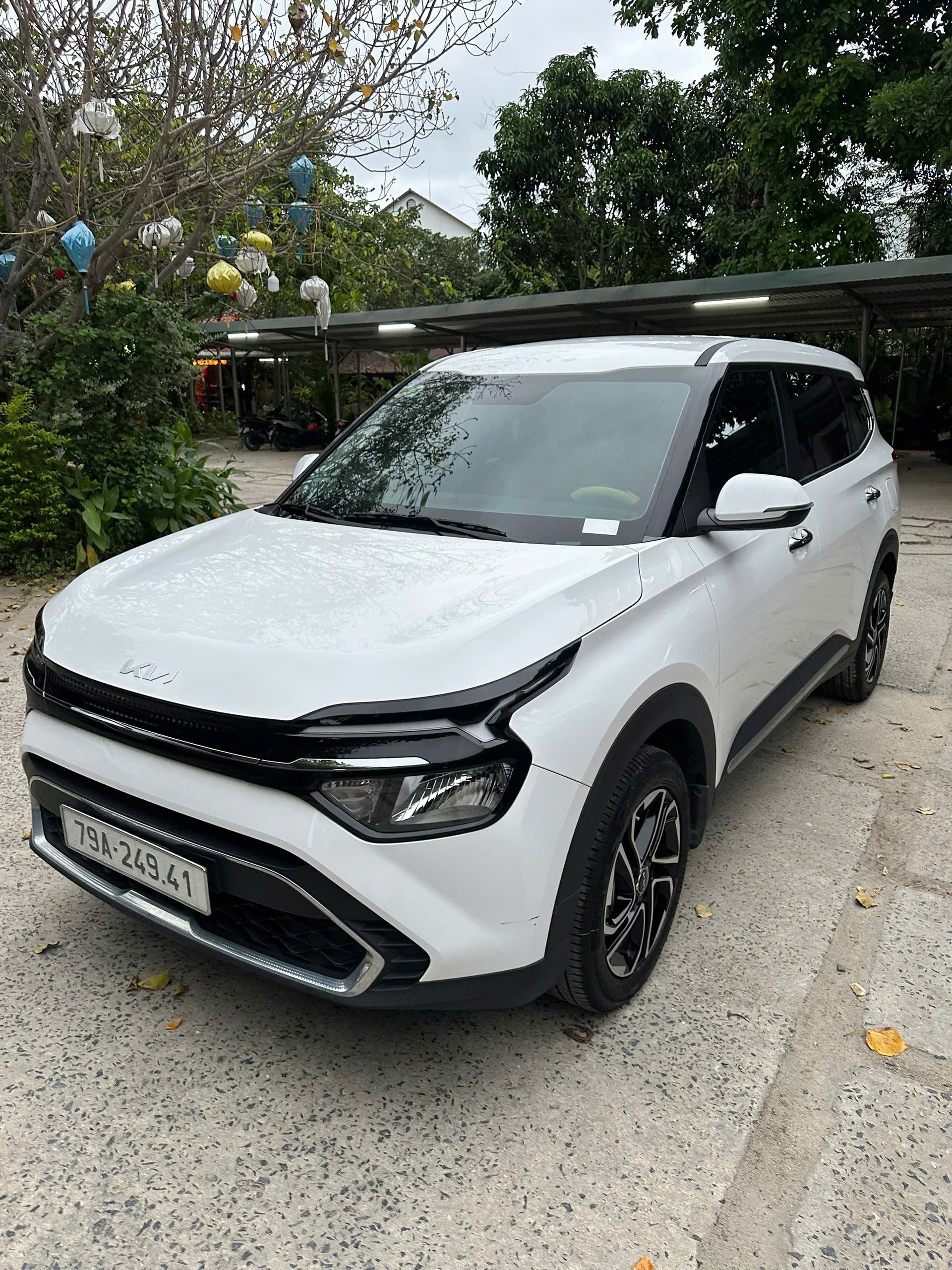 thuê xe tự lái Tết Tây 2026