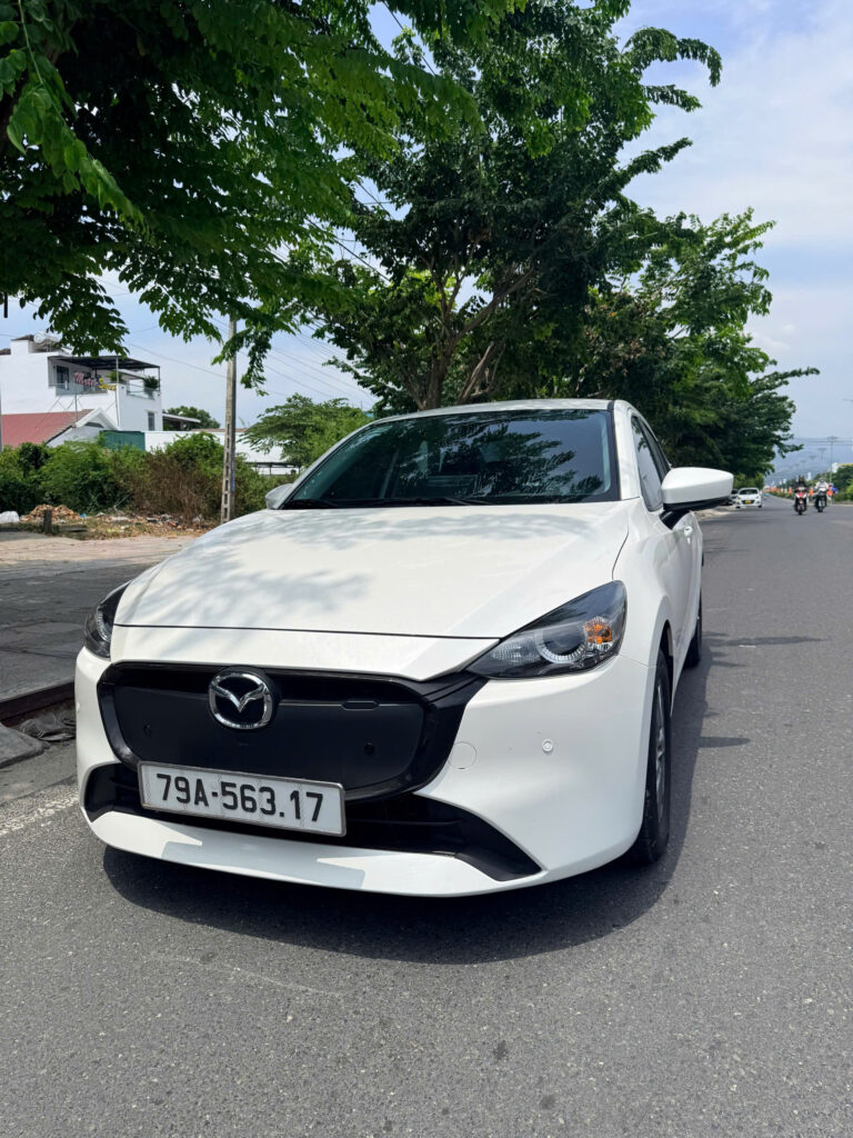 Các dòng xe cho thuê tự lái phổ biến.