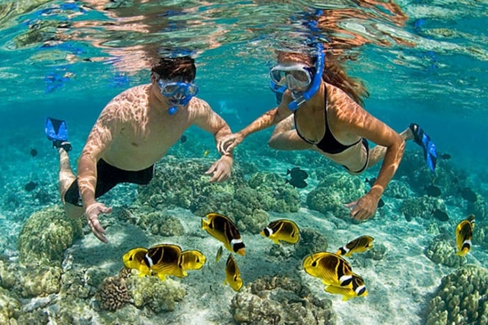 Hòn Mun Nha Trang - Khám phá ĐẢO THIÊN ĐƯỜNG giữa biển khơi