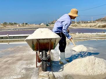 Vẻ đẹp lao động miệt mài của diêm dân trên đồng muối, do AI tạo